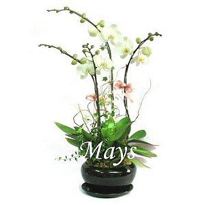 Mother’s Day Flower & Gift mothers-day-flower-2450
