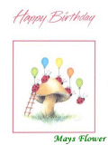 Birthday Cards / Greeting Card card2500
