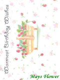 Birthday Cards / Greeting Card card2503