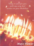 Birthday Cards / Greeting Card card2507