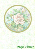 Birthday Cards / Greeting Card card5116