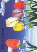 Birthday Cards / Greeting Card card5122