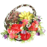 Fruit Basket