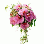 Wedding Bouquet