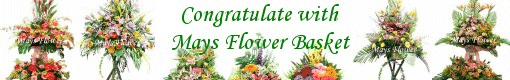 Mays Flower Shop HK - Hong Kong Flower Shop with professional HK florist deliver fresh flower, flower basket, silk flower, gift hamper, funeral flower and wedding flower.