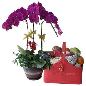 Chinese New Year Fruit Baskets Hampers 152-plants